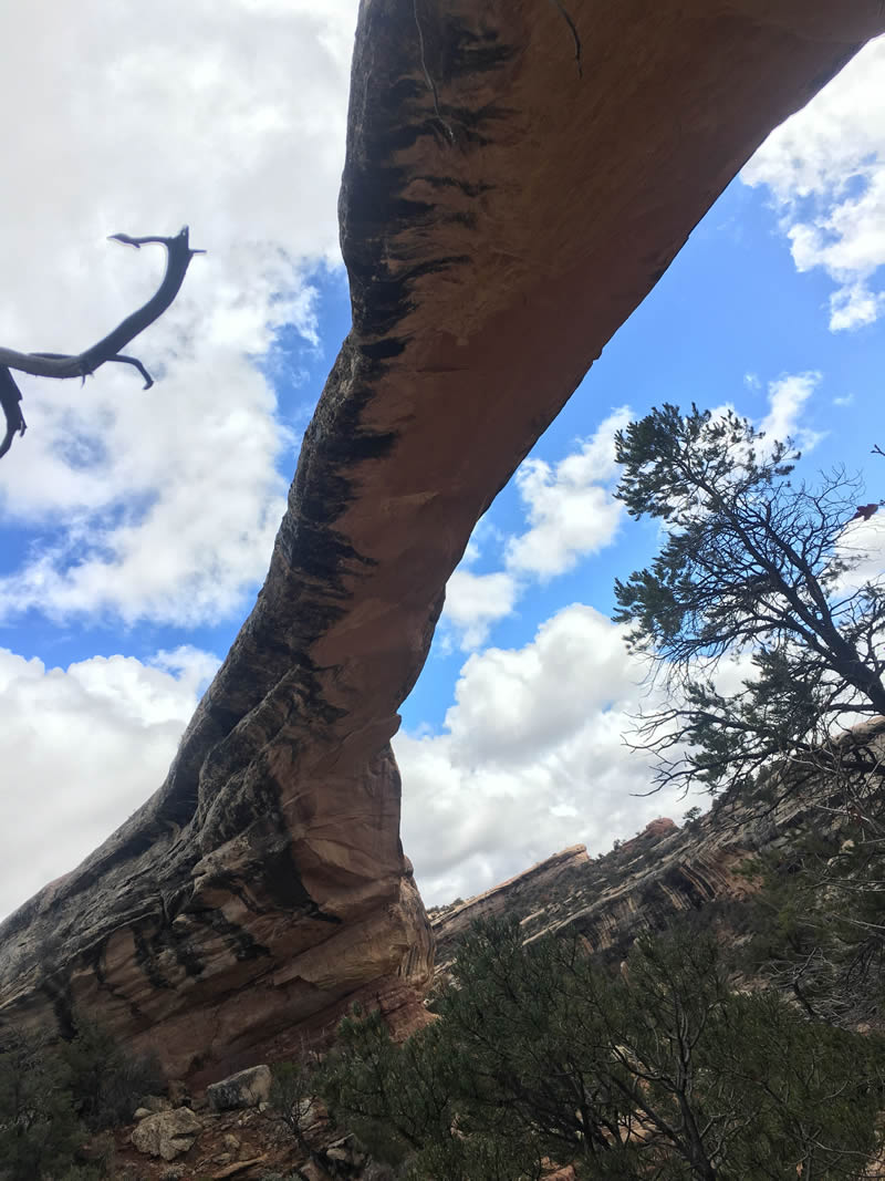 Natural Bridges National Monument